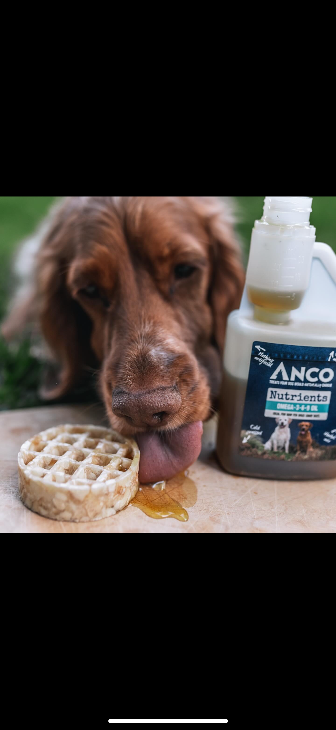 Anco Collagen Waffle