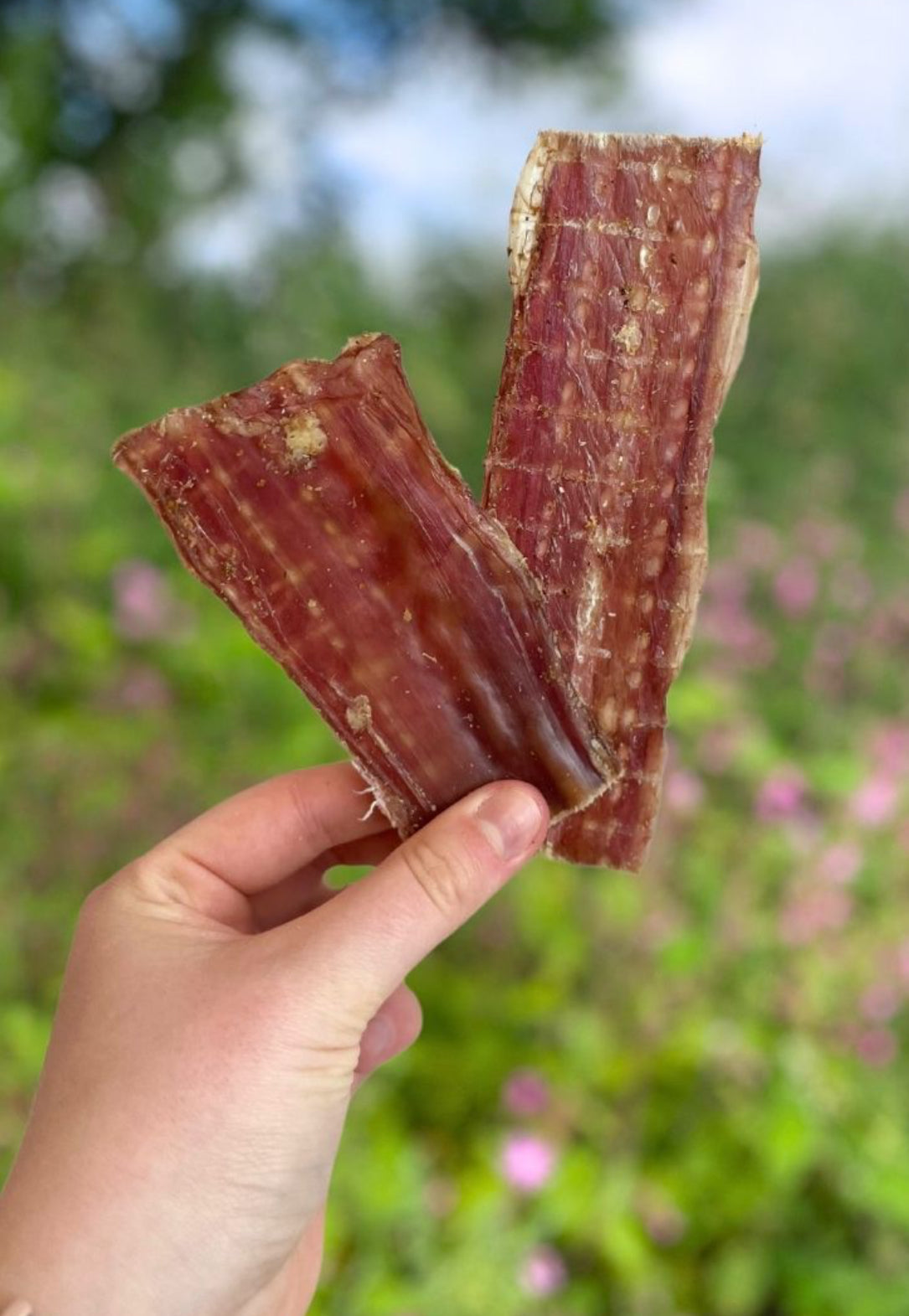 Flat Gullet (100g Approx)