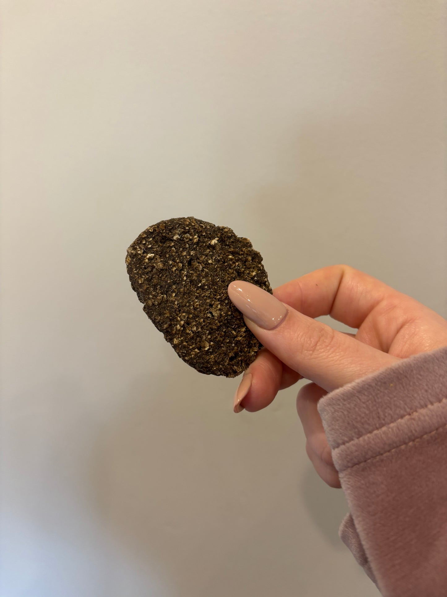Venison Burger