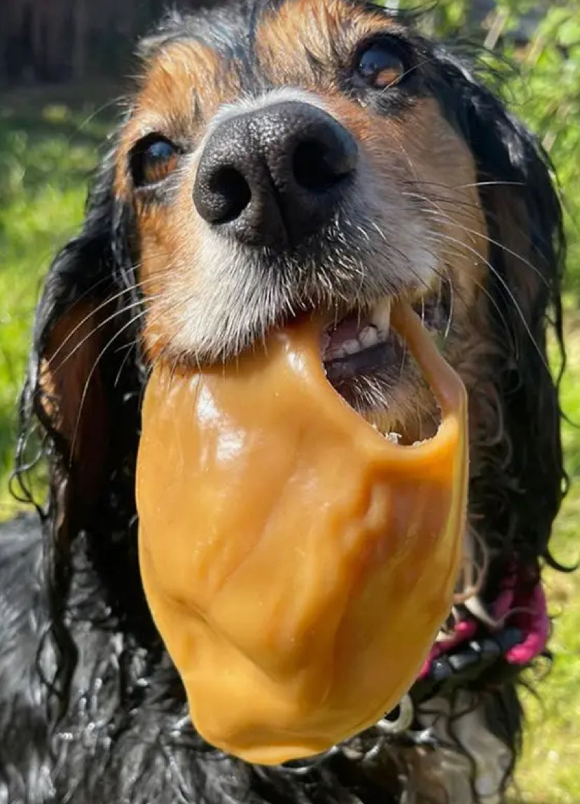 Maks Patch Pig Ear