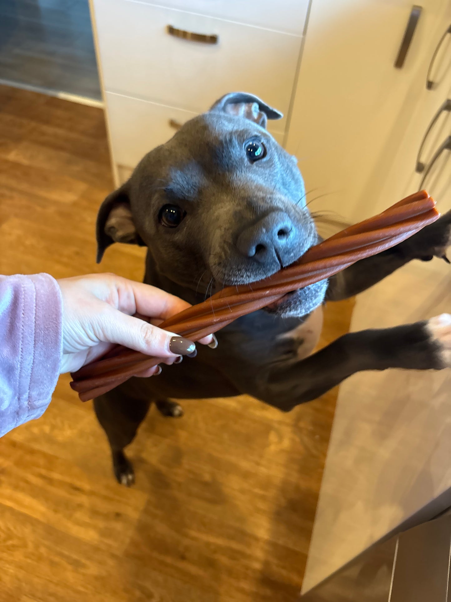 Maks Patch Jumbo Twist Stick 26cm