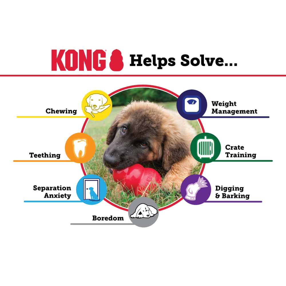 Kong Classic Large