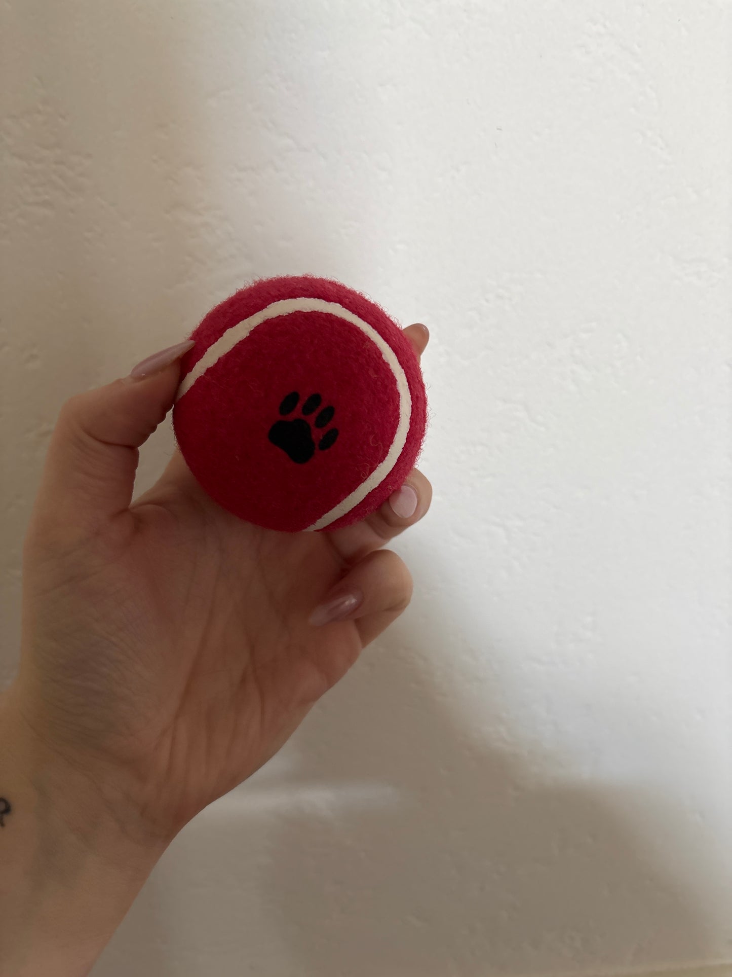 Dog Tennis Ball