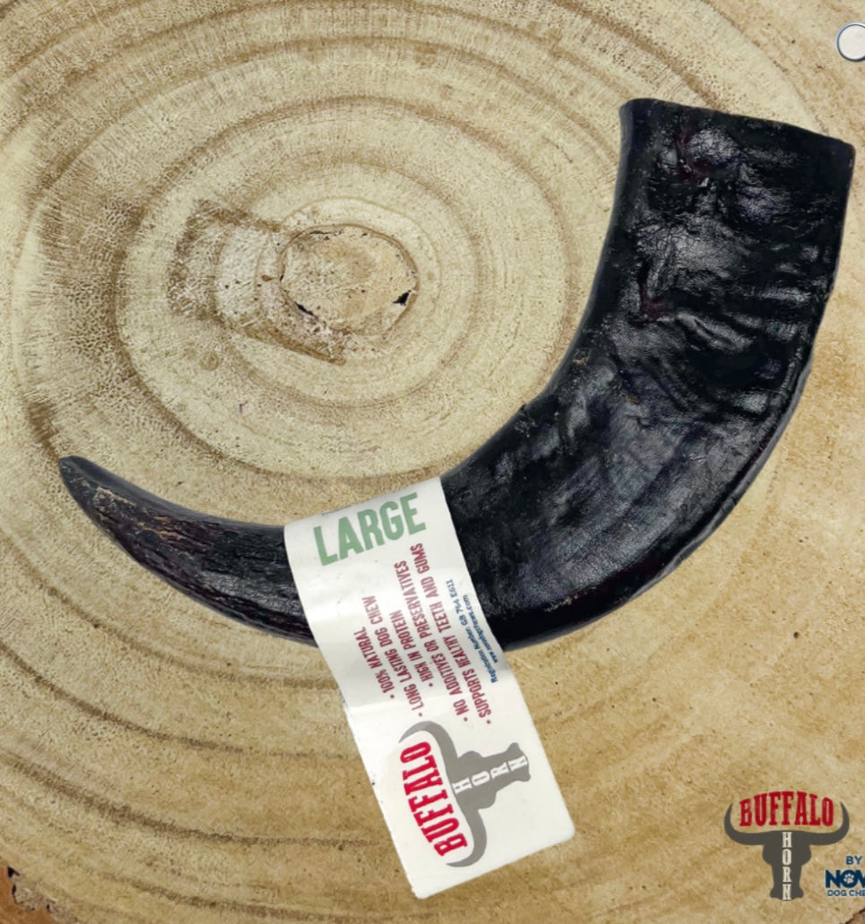 Buffalo Horn medium