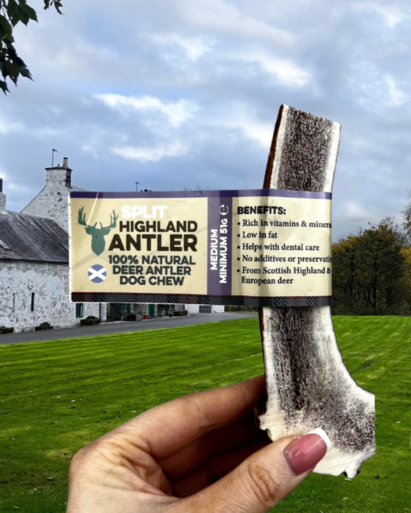 Split Antler