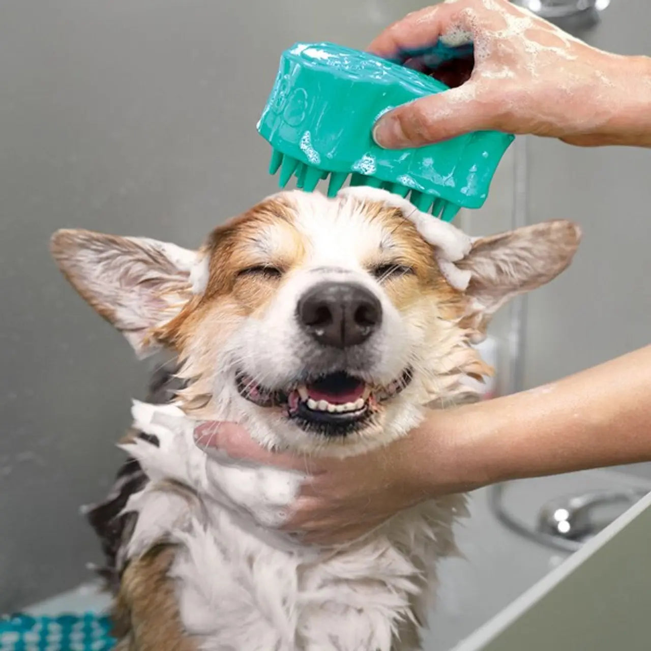 Kong Bubbles Zoom Groom