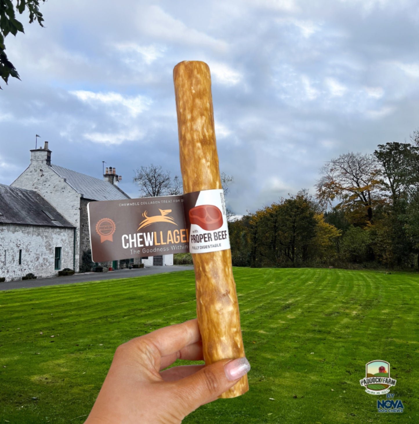 Chewllagen Beef Roll 10”