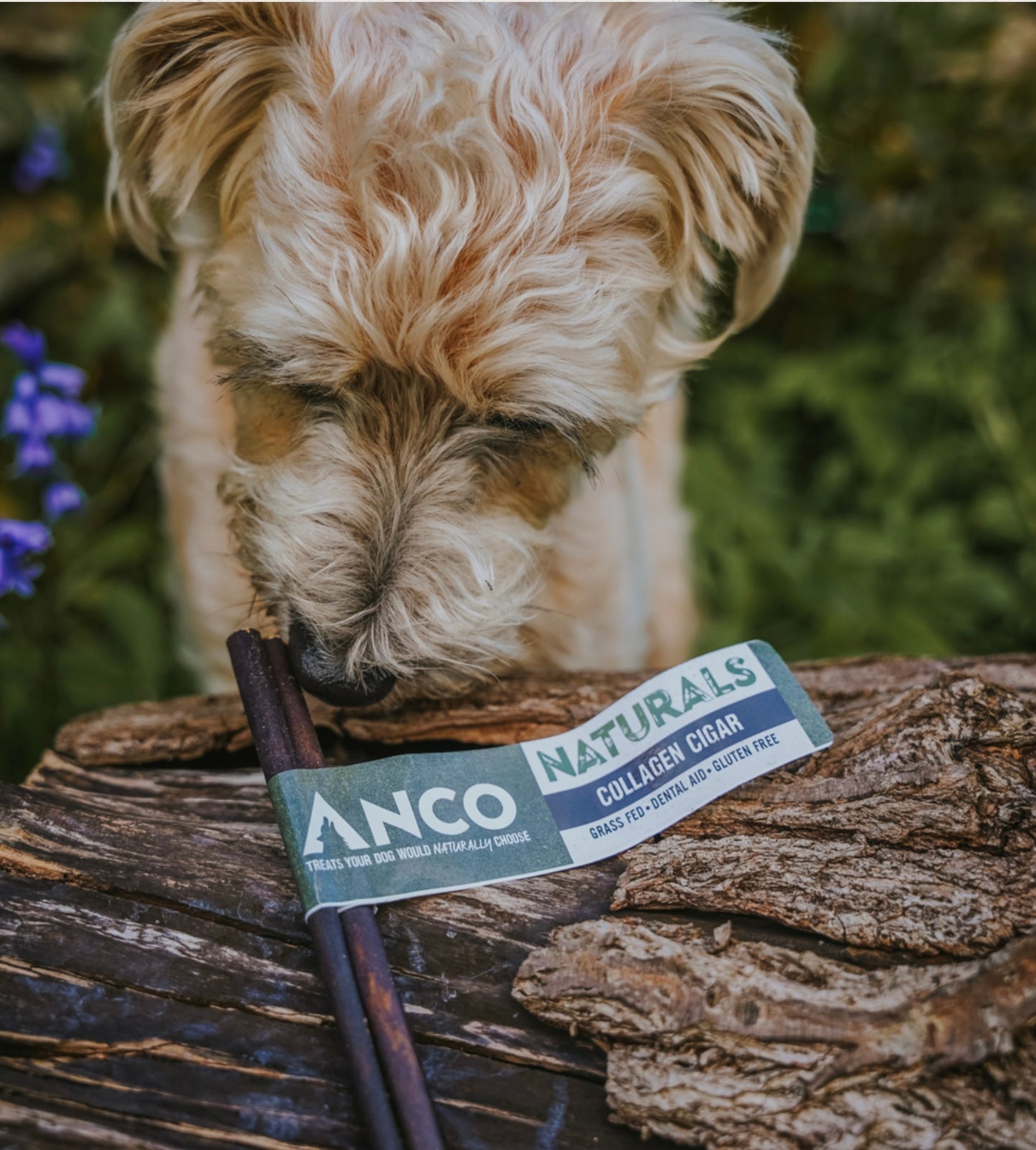 Anco Natural Collagen Cigar