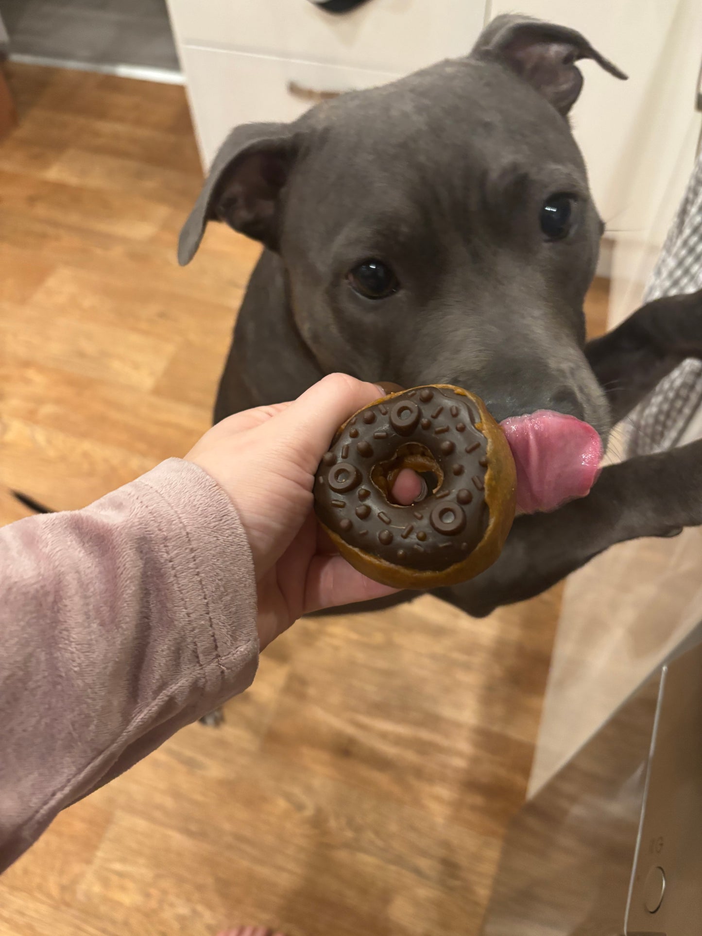 Maks Patch Doggy Donuts