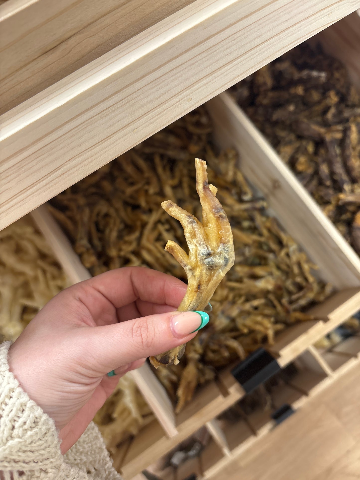 Chicken foot