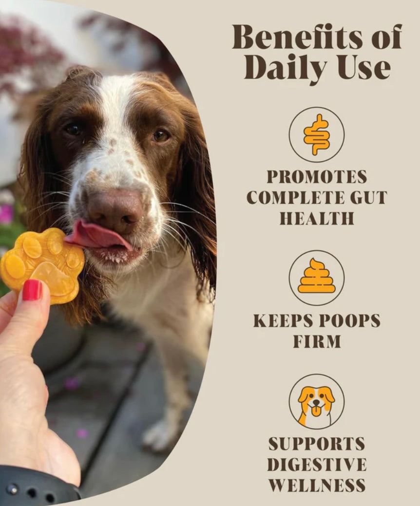 Hackney Dog House Pumpkin Probiotic 225g