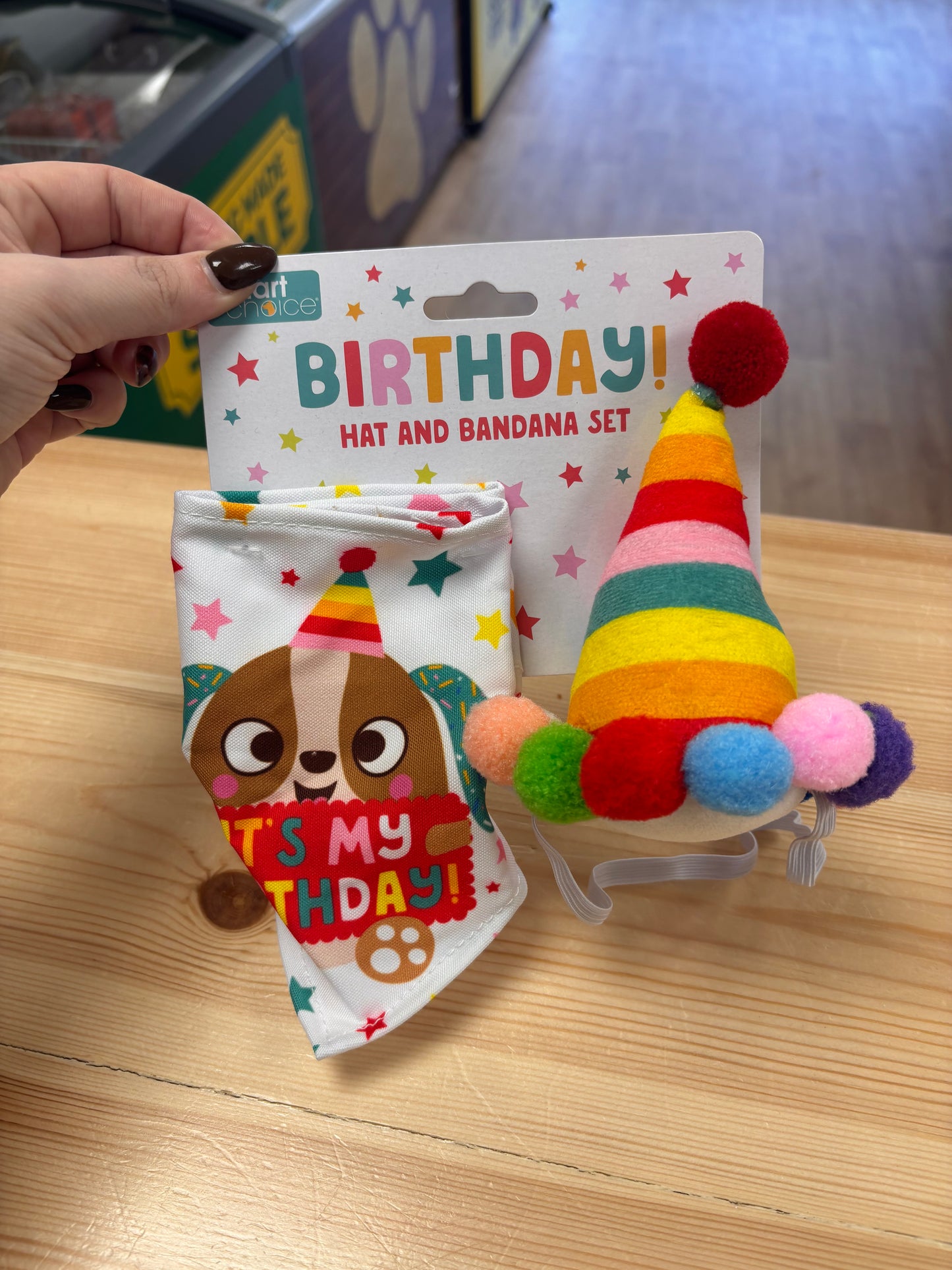 Birthday hat and bandana