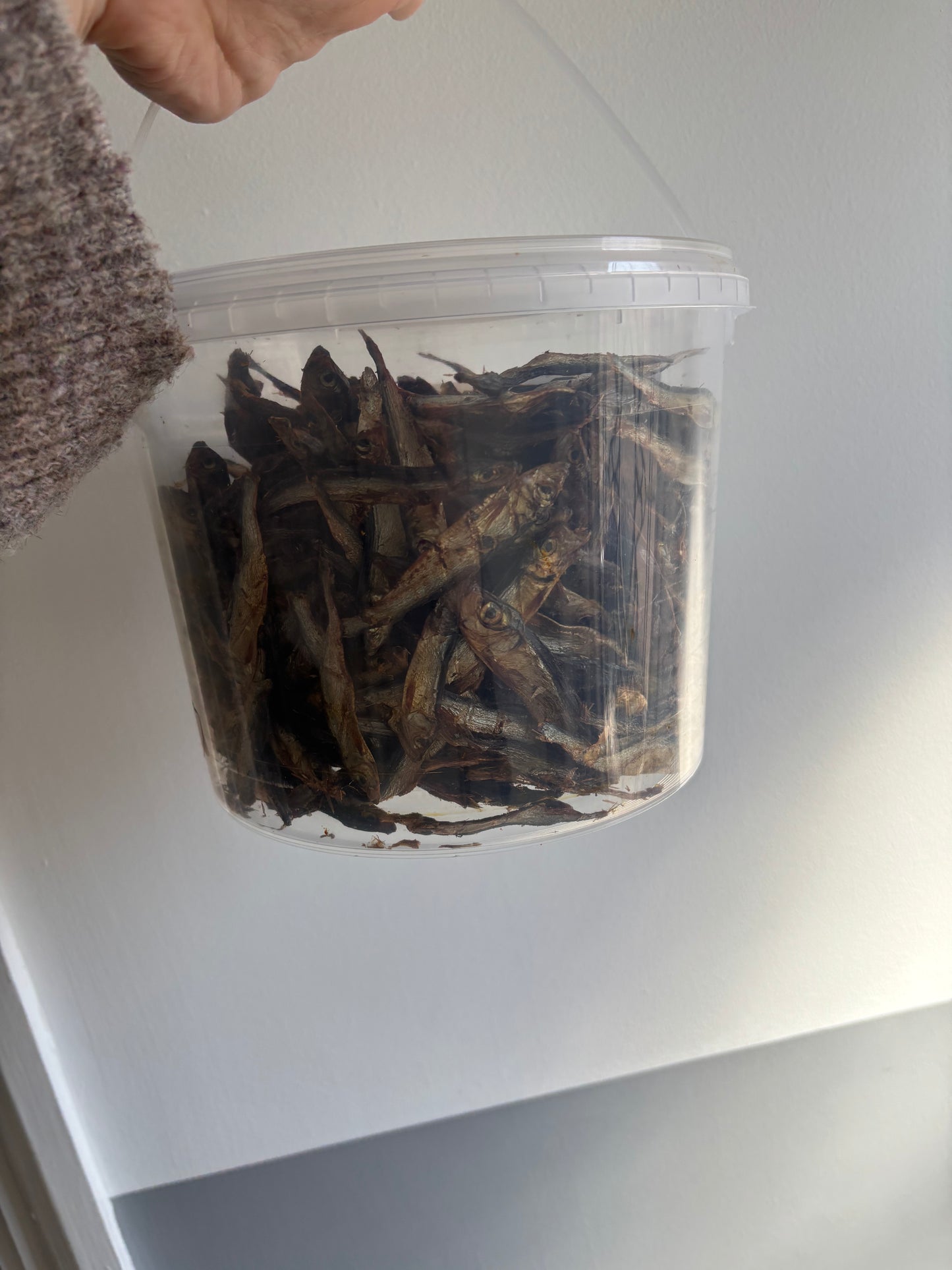 Hollings Sprats 500g