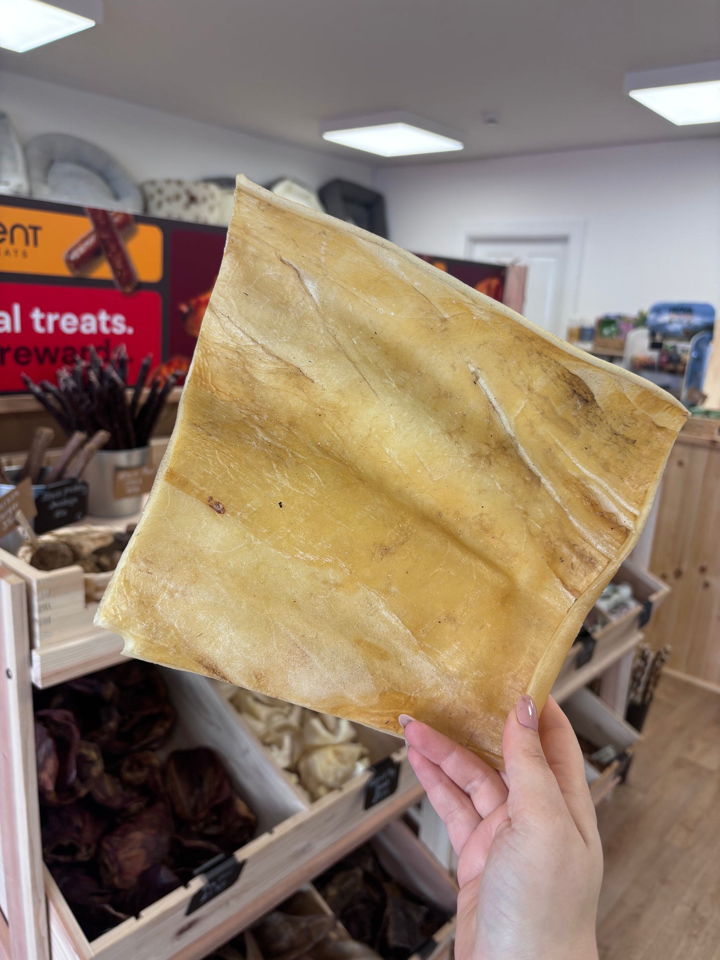 XL Buffalo Skin Plate