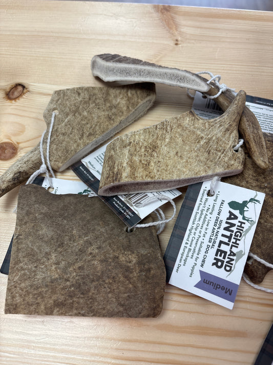 Fallow Antler medium