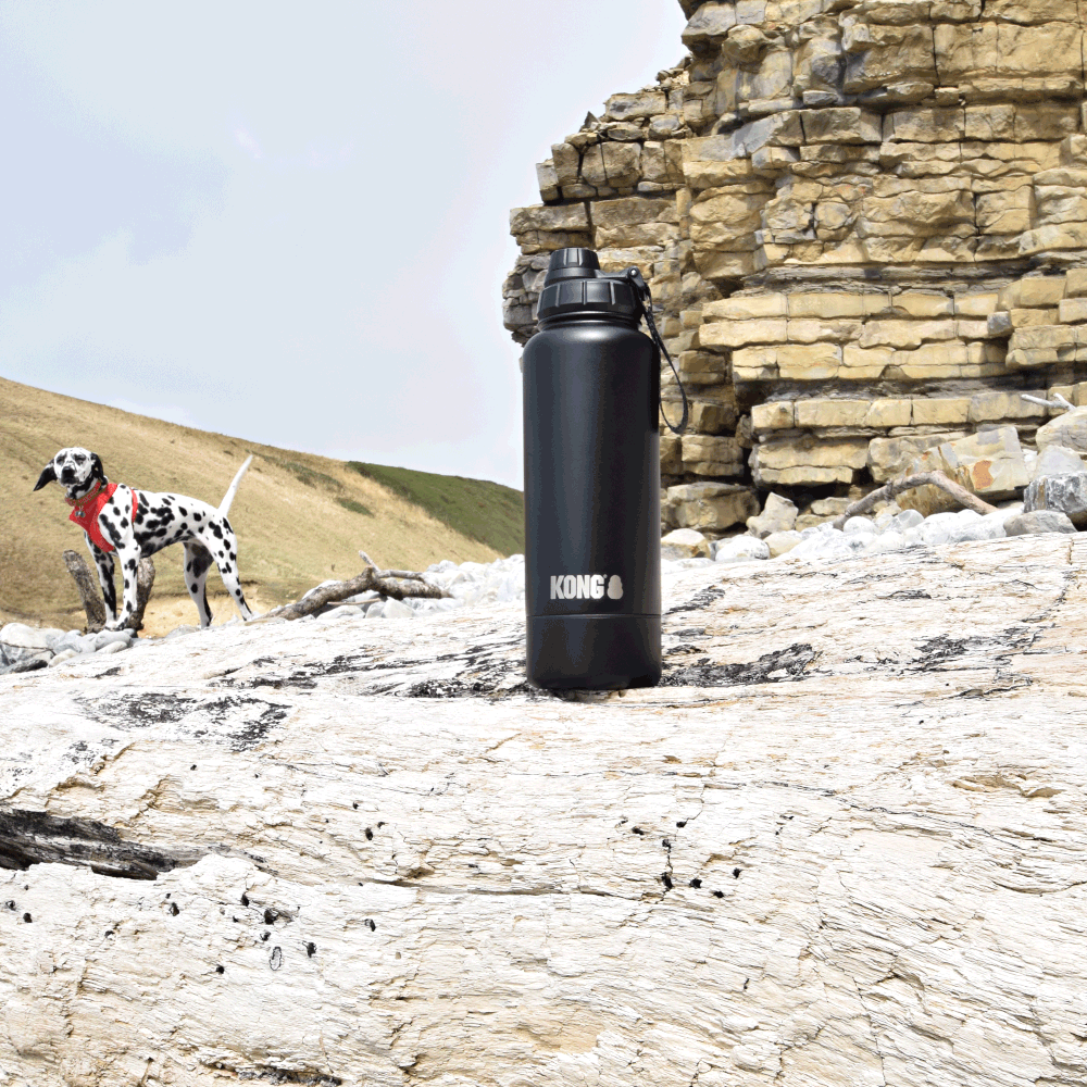 Kong Duo Drinker 910ml
