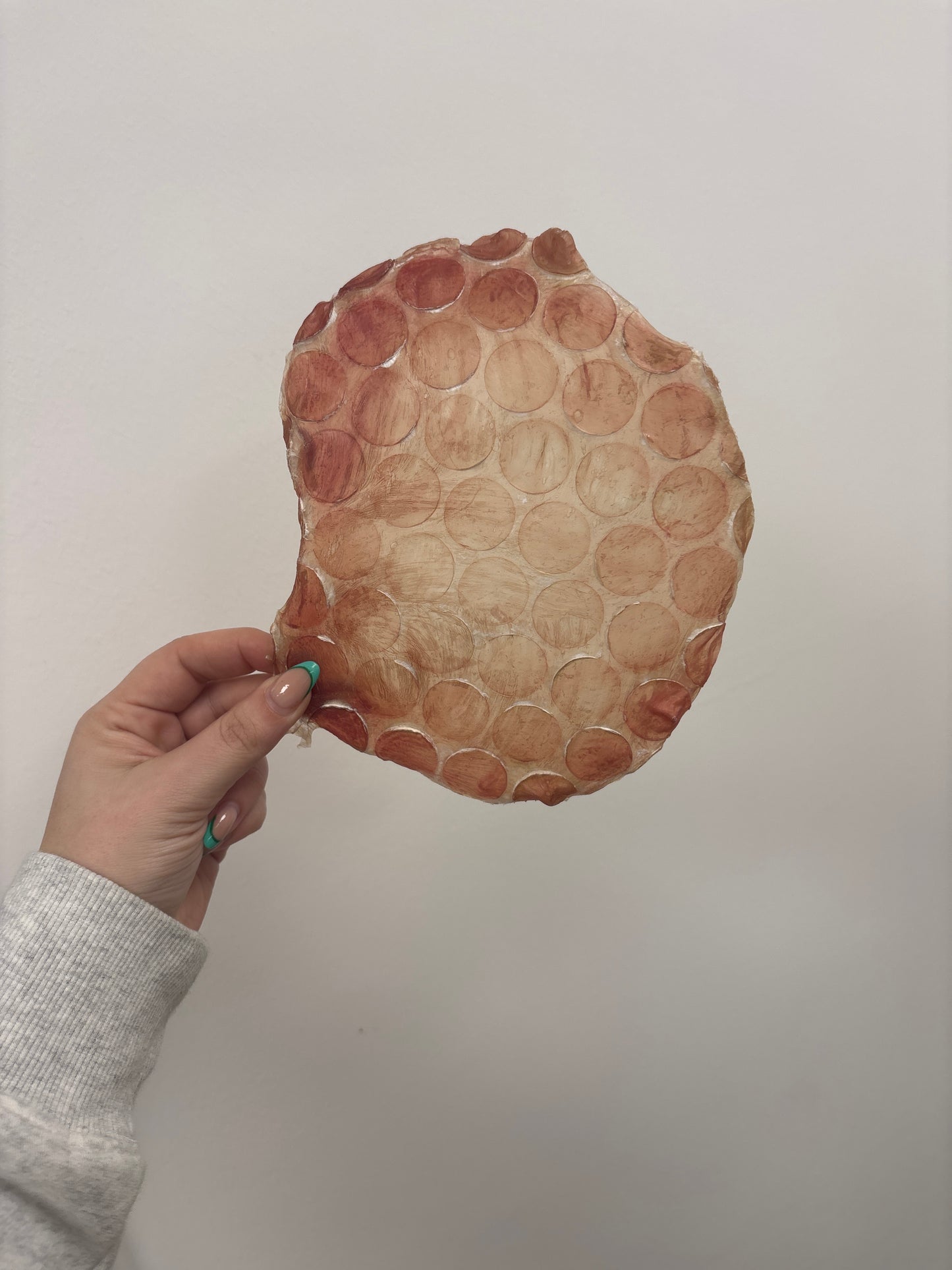 Beef Frisbee