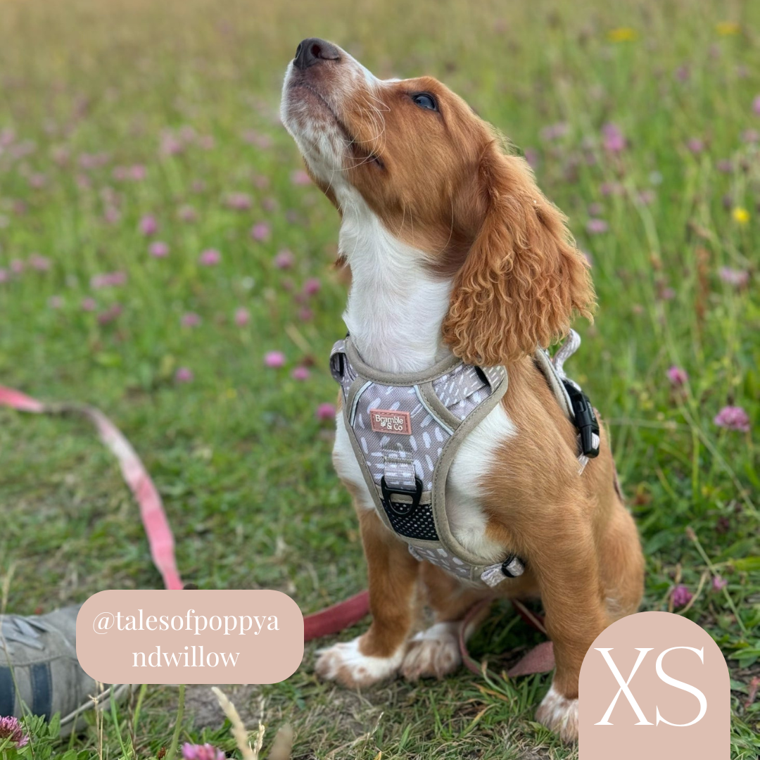 3-Point Adjustable Harness - The Feelings Neutral: Med