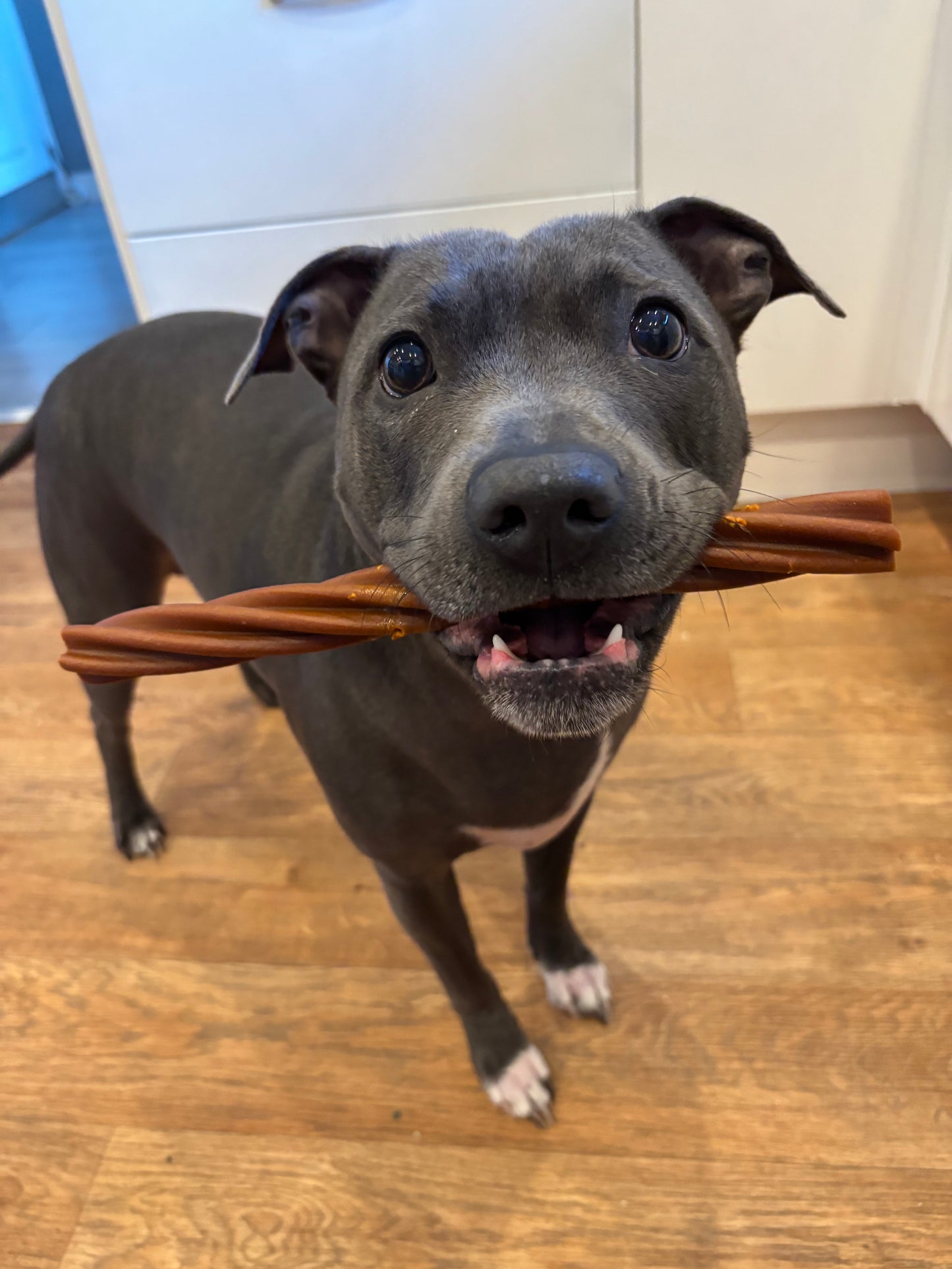 Maks Patch Jumbo Twist Stick 26cm