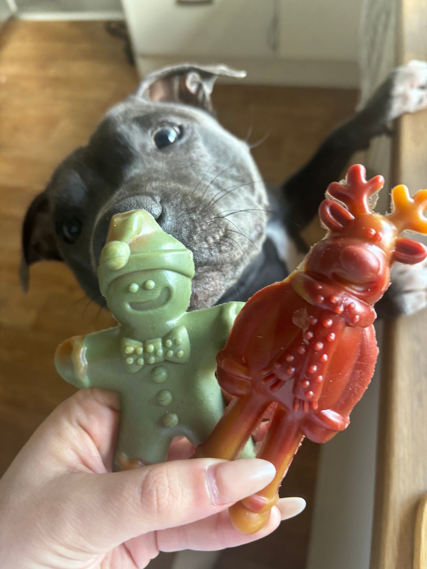 Maks Patch Ginger&Dasher Xmas Treats