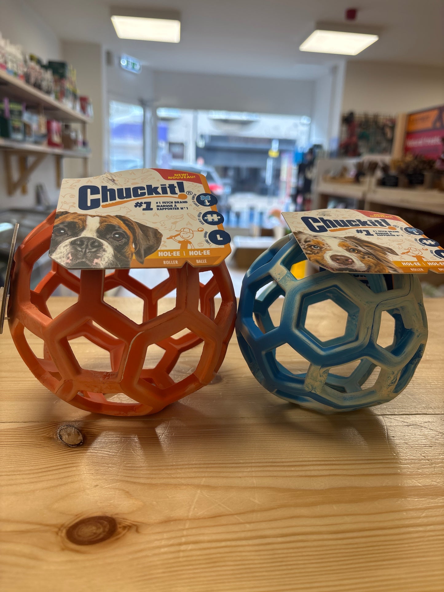 Chuck it Hol-ee Roller Ball
