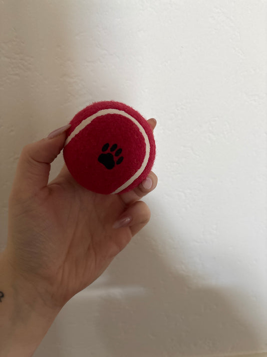 Dog Tennis Ball
