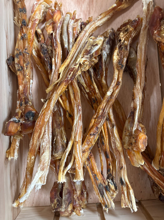 Ostrich Tendon