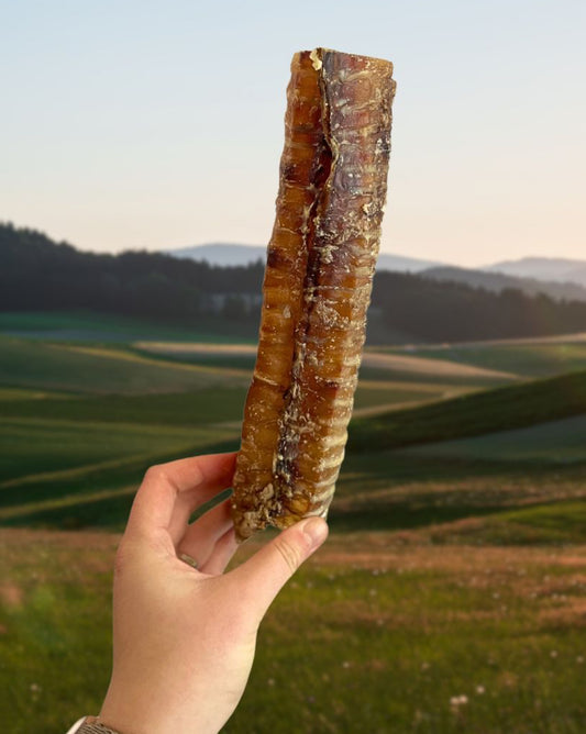 Beef Trachea