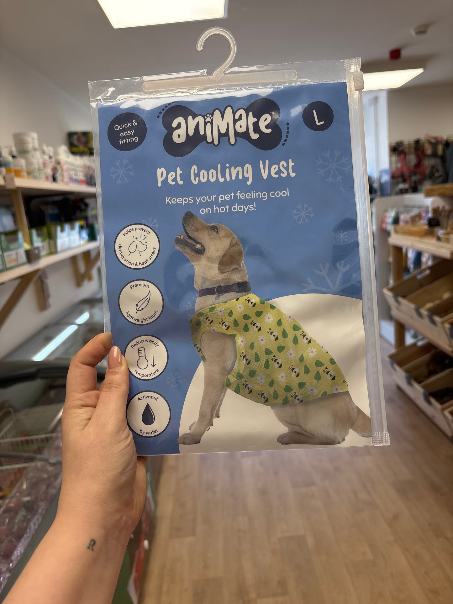 Cool vest