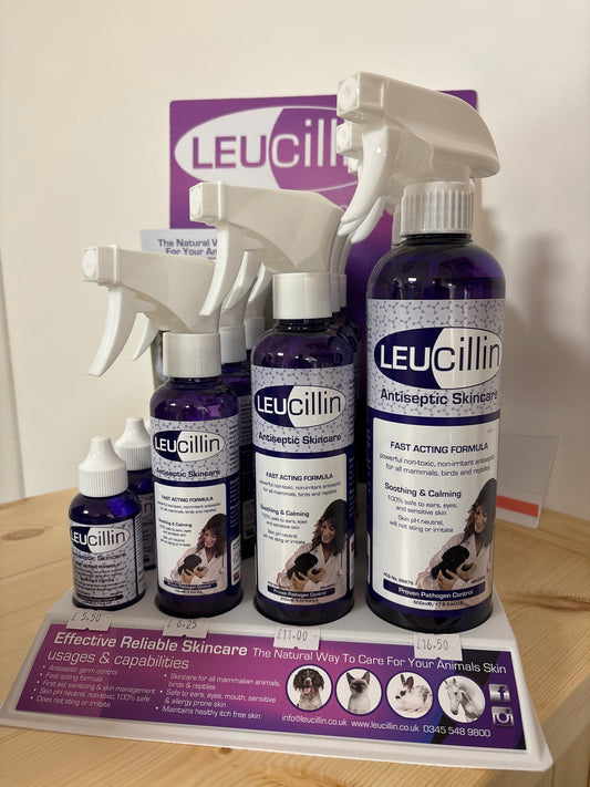 Leucillin Antiseptic Spray