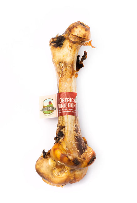 Paddock Farm Ostrich Dino Bone