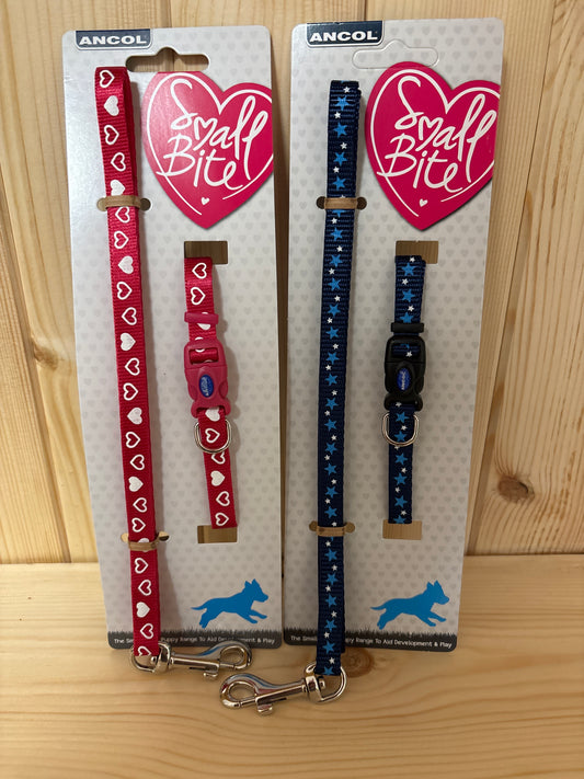 Ancol Puppy Collar & Lead Set