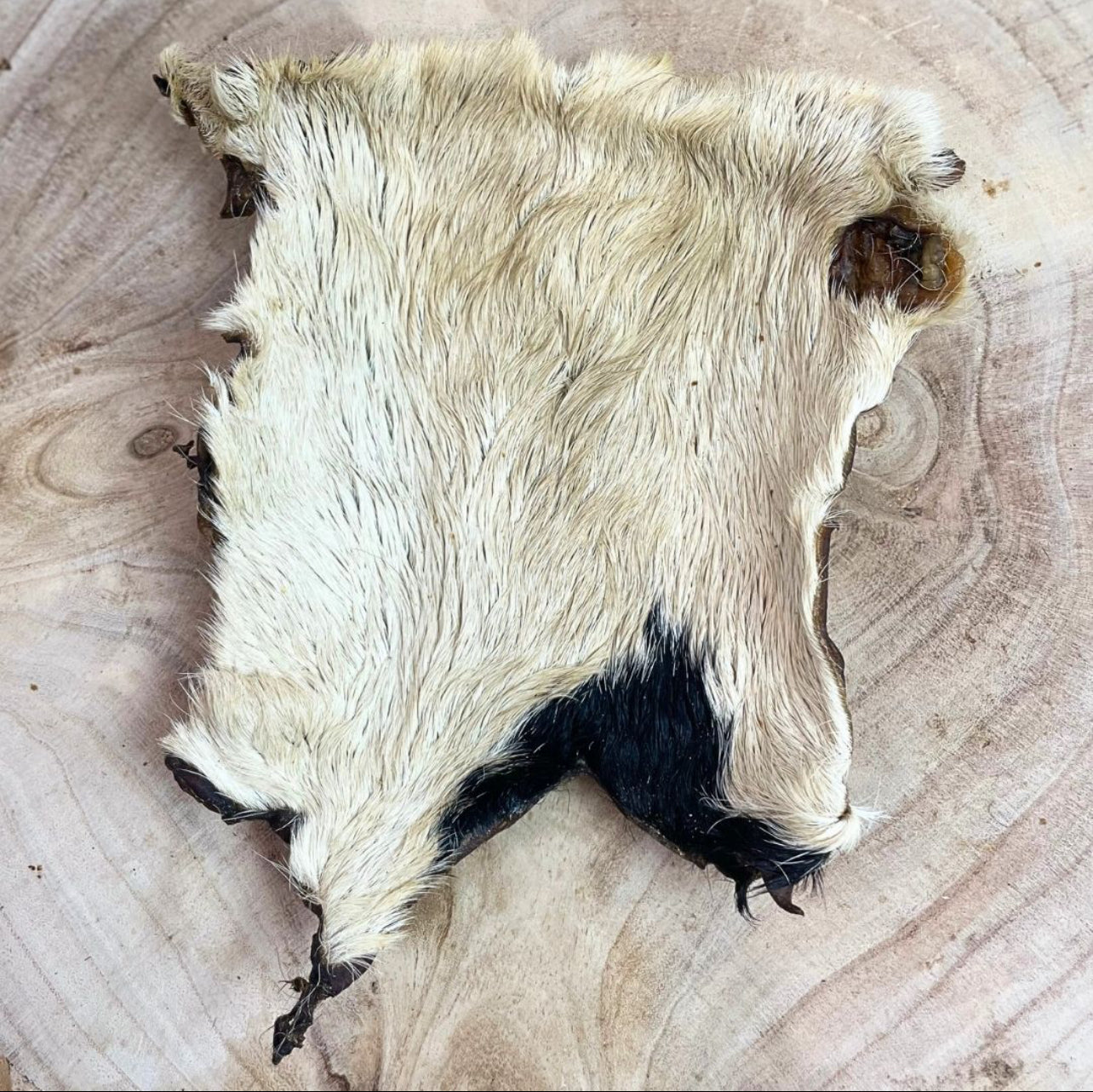 XL Hairy Beef Skins