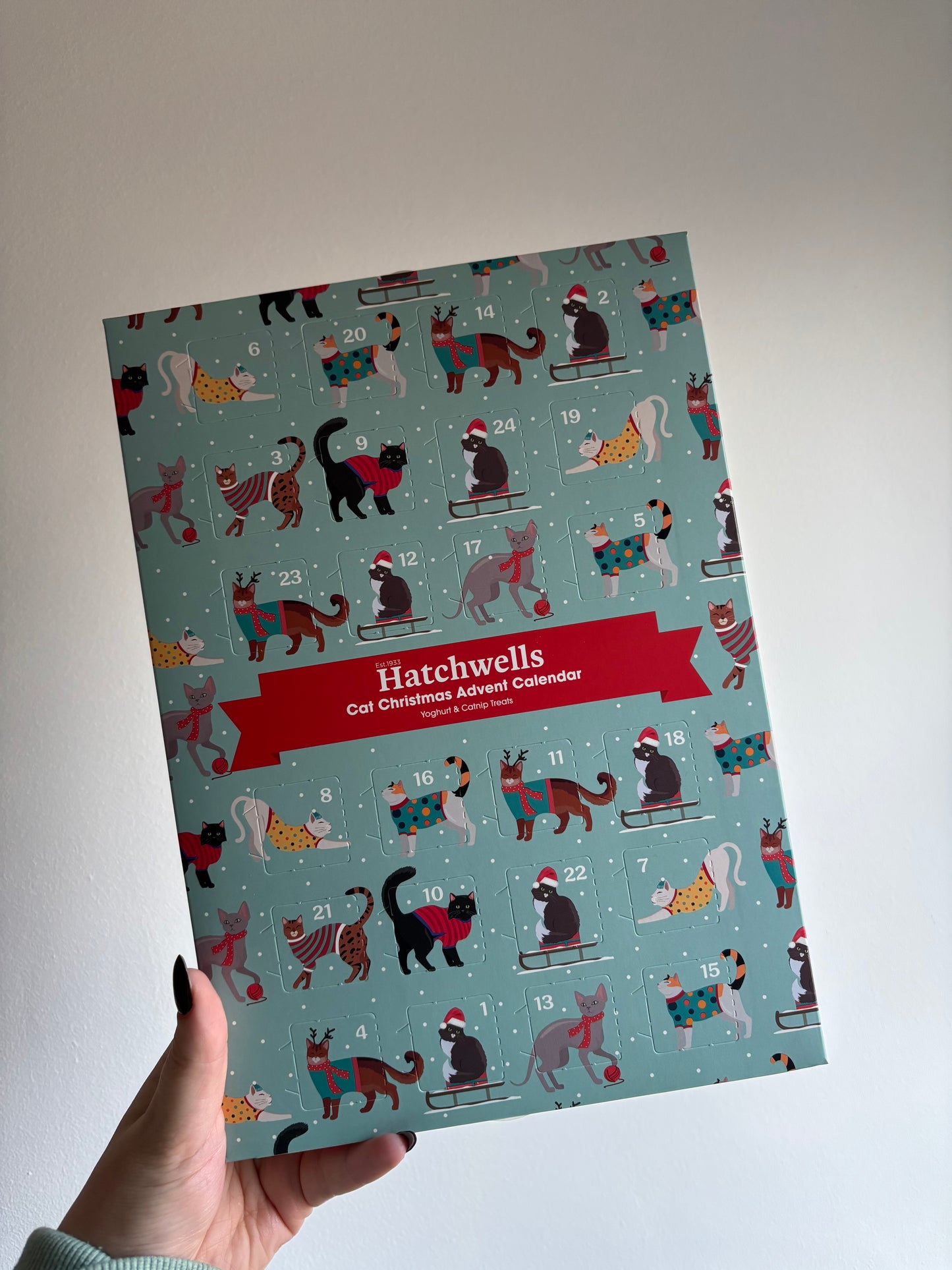 Hatchwells Advent Calendar