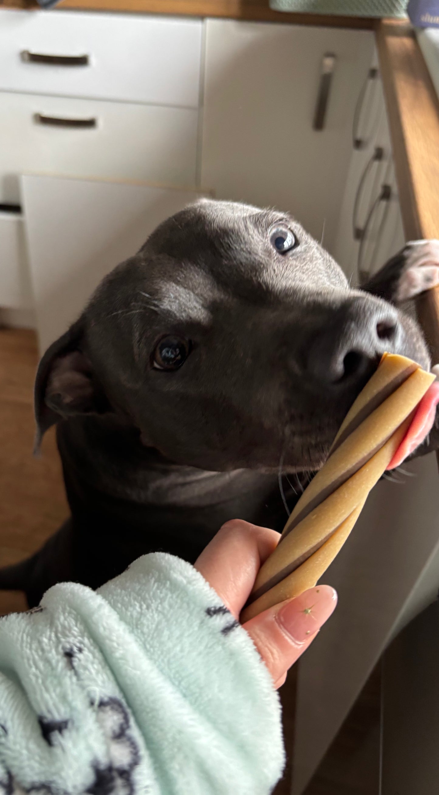 Veggie Twirl