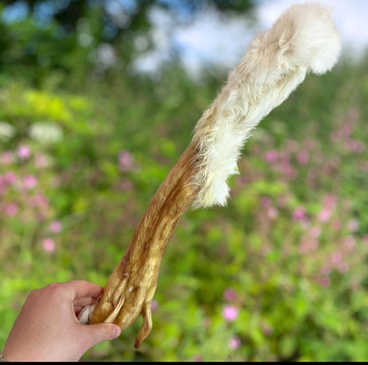 XL Hairy Rabbit Skin