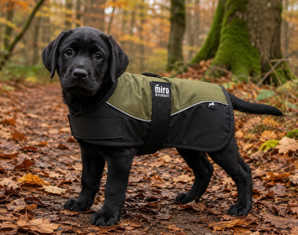 Miro & Makauri Dog Coat Khaki