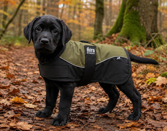 Miro & Makauri Dog Coat Khaki