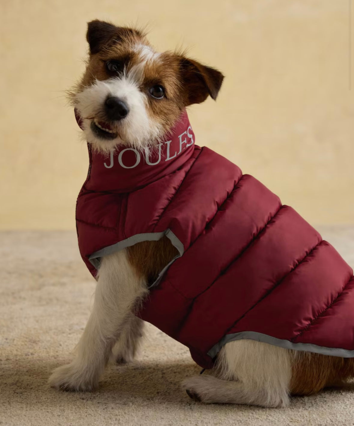 Joules Moorsdale Reversible Puffer Navy/burgandy