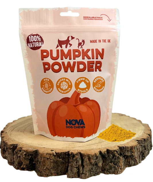 Pumpkin Powder