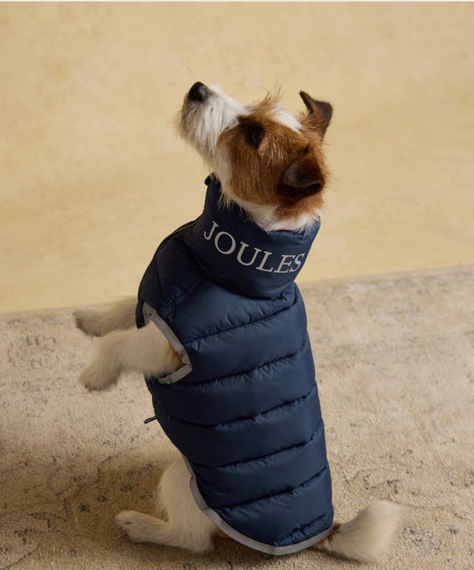 Joules Moorsdale Reversible Puffer Navy/burgandy