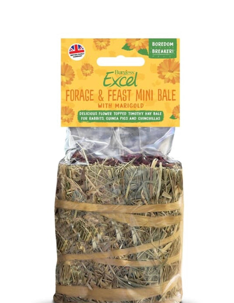 Burgess Excel Forage & Feast Mini Hay Bale