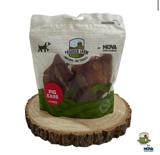 Medium Pig Ear 5pack