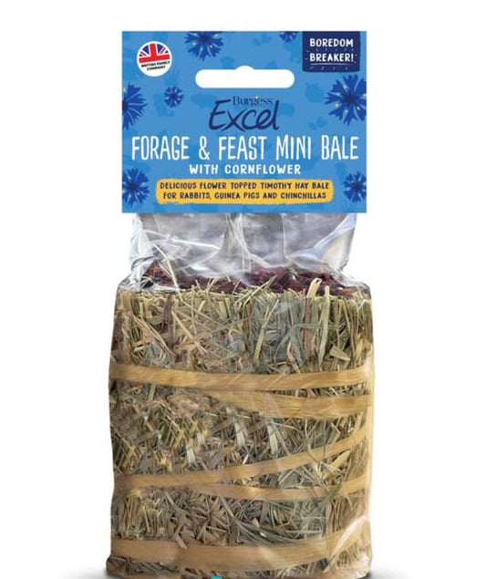 Burgess Excel Forage & Feast Mini Hay Bale