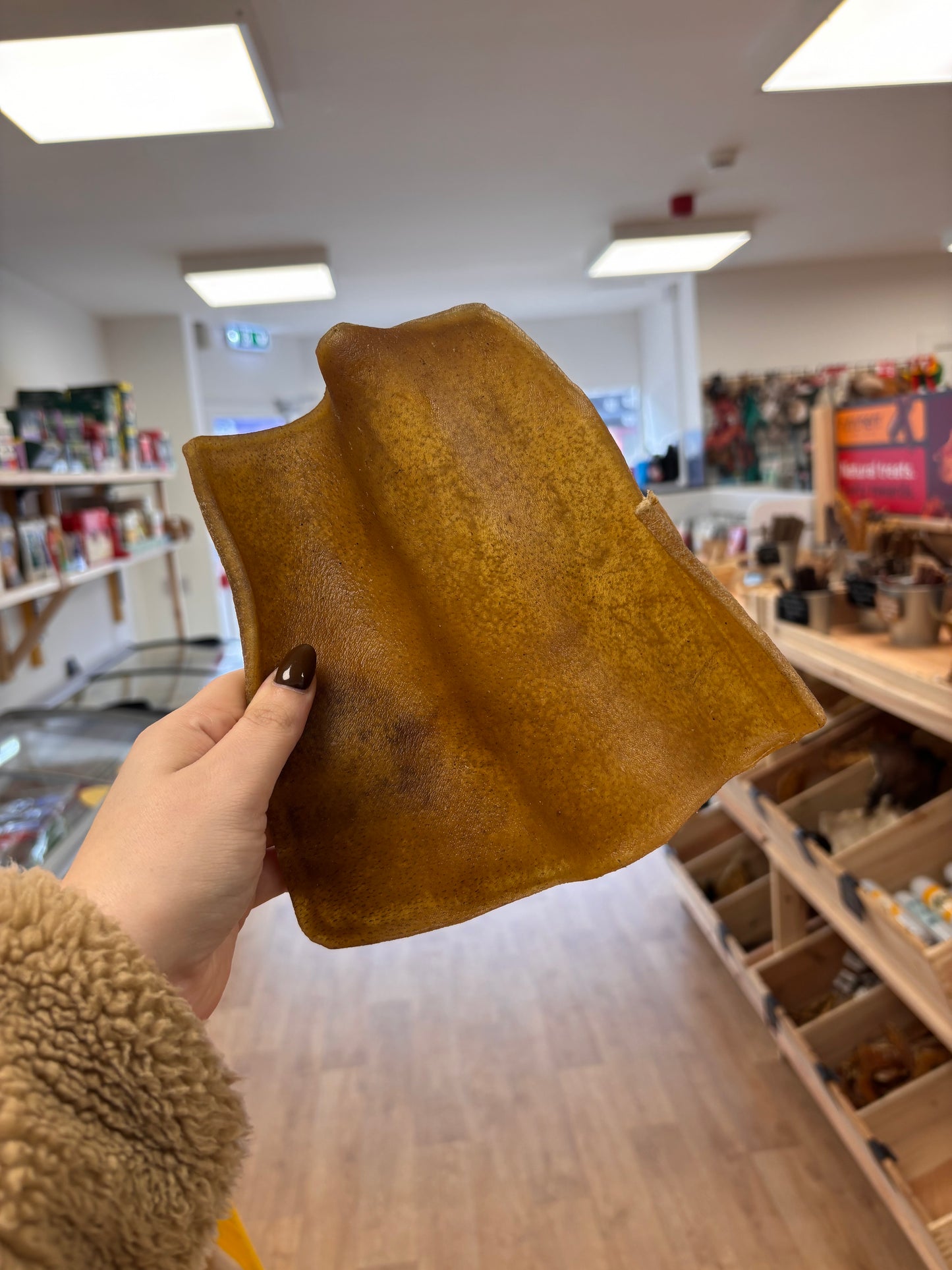 XL Camel Skin Plate