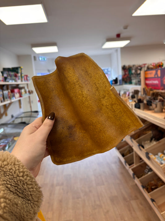 XL Camel Skin Plate