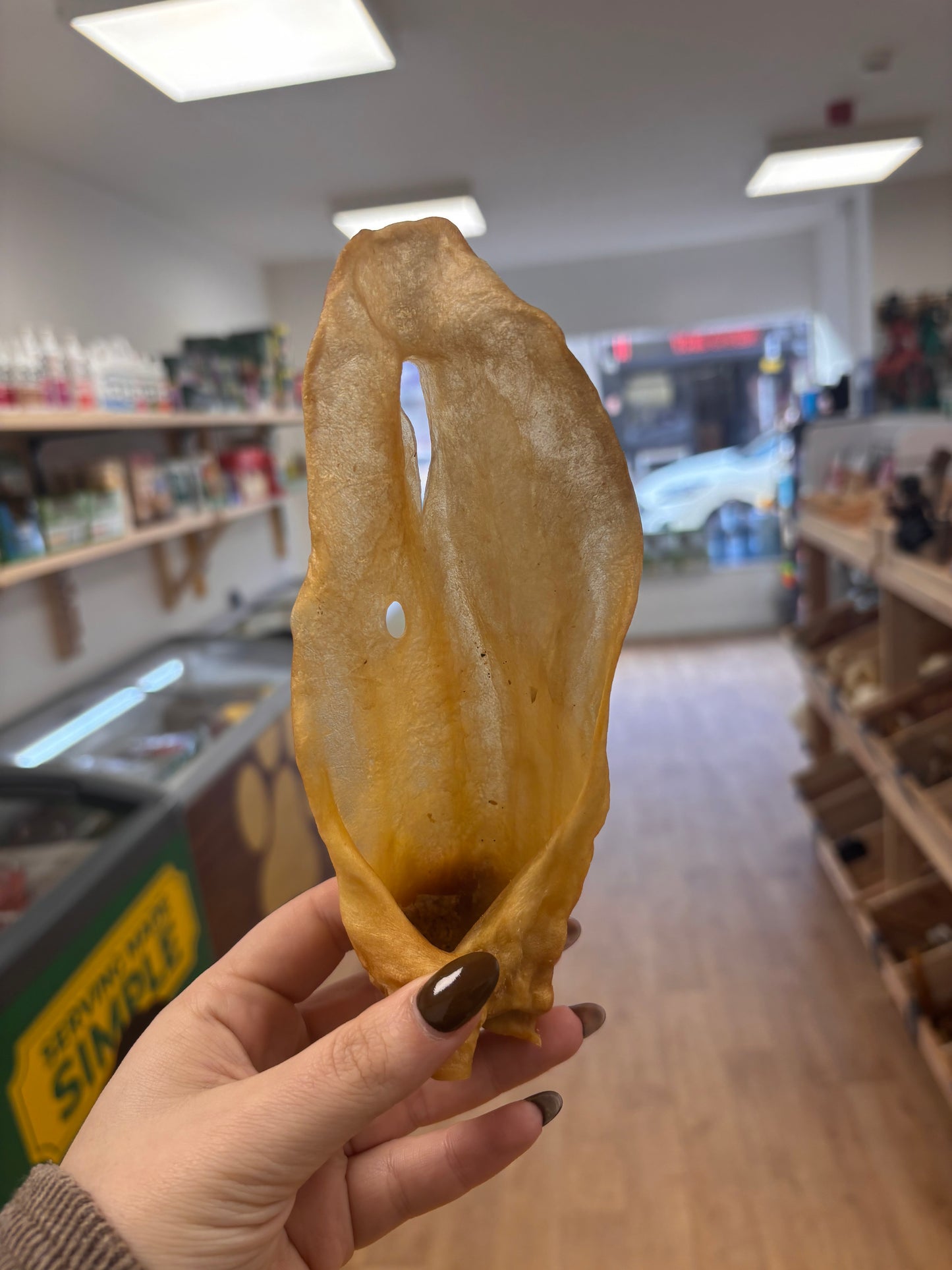 Goat Ear