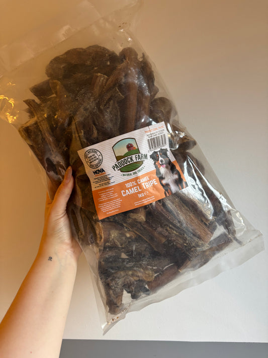 1kg Camel Tripe