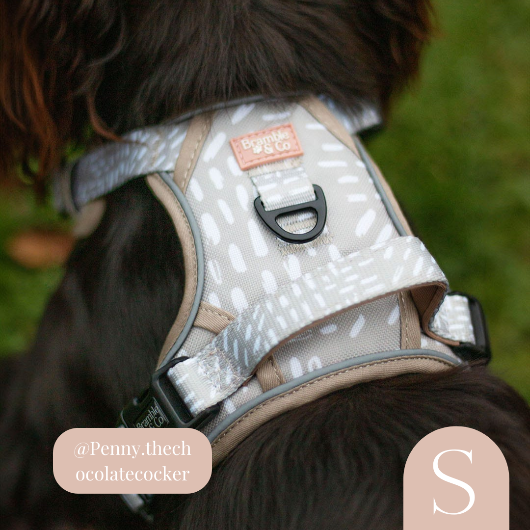 3-Point Adjustable Harness - The Feelings Neutral: Large
