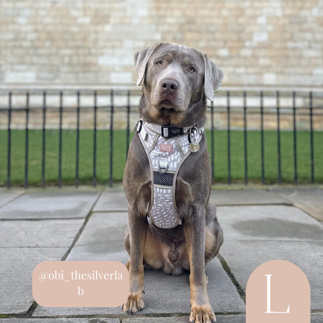 3-Point Adjustable Harness - The Feelings Neutral: Large